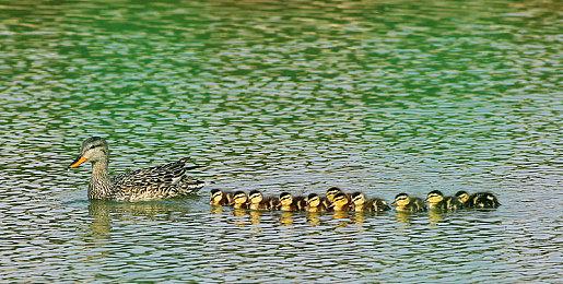 RTX 5080笔记本版3DMark跑分曝光 提升有限